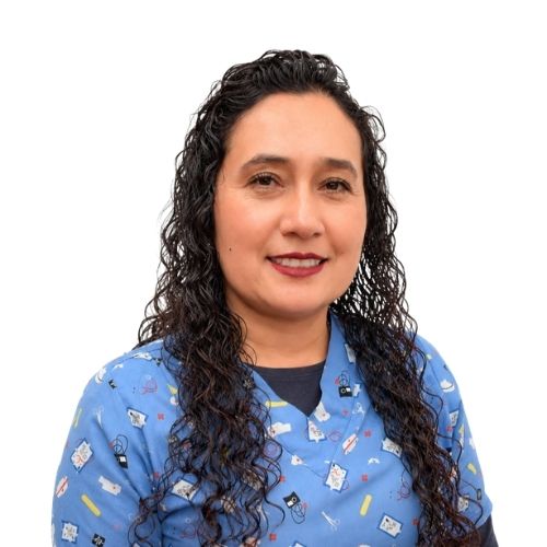 Fabiola Vargas Echavarría